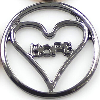 RVS Memory Locket Plaat