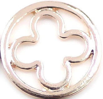 RVS Memory Locket Plaat