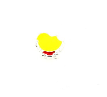 10 Pieces Charms