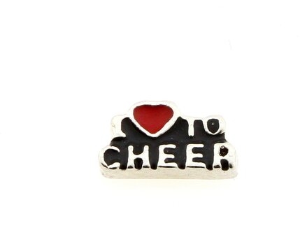 10 Pieces Charms