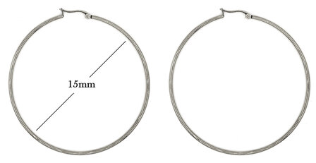 Statement Oorbellen - Stainless Steel Hoop Earrings - Zilver - Dia: 15mm