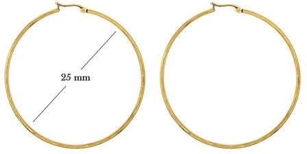 Statement Oorbellen - Stainless Steel Hoop Earrings - Gold - Dia: 25mm