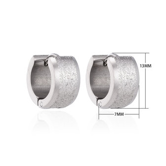Creoles Stainless Steel Earrings