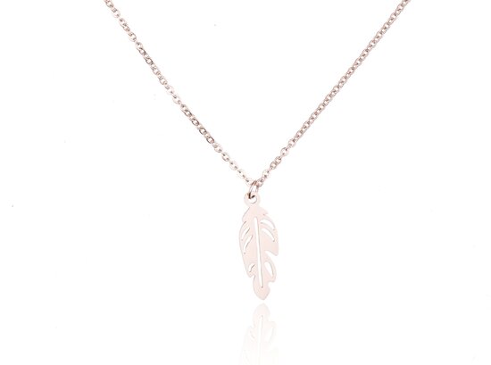 Stainless Steel Necklace With VEER / FEATHER