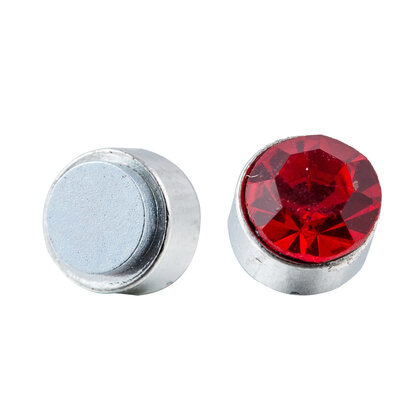 Stainless Steel Magnetic Earring 6mm