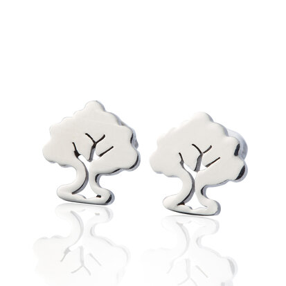 Ear Studs RVS