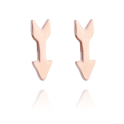 Ear Studs RVS Kleur Rosé Goud 