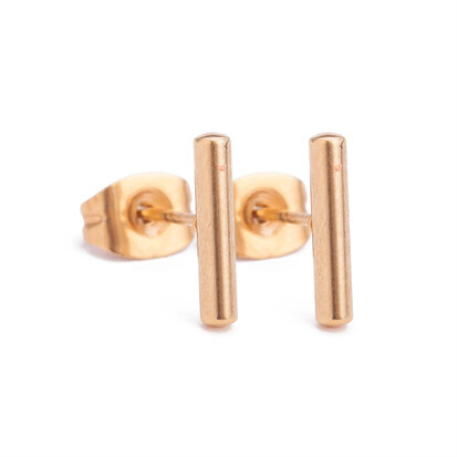 Ear Studs RVS Kleur Goud 