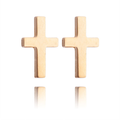 Ear Studs RVS  Kleur  Goud