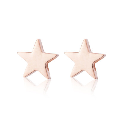 Ear Studs RVS Kleur Rosé Goud 