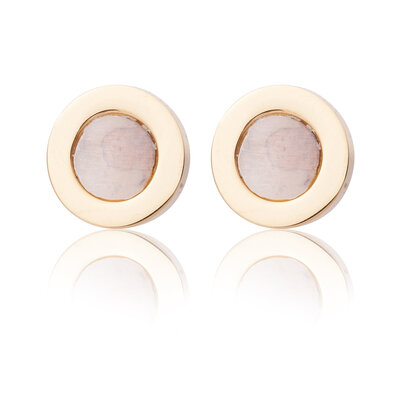 Ear Studs RVS Kleur  Goud 