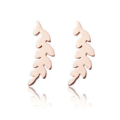 Ear Studs Stainless Steel Color Rose Gold