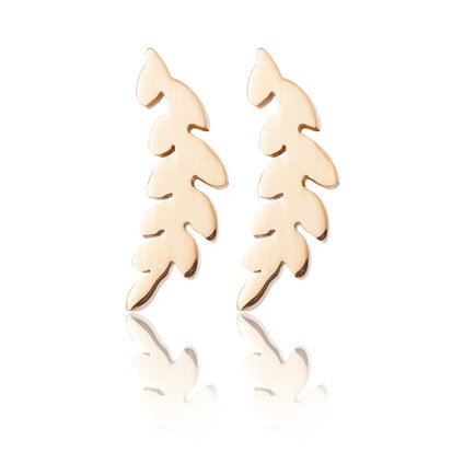 Ear Studs RV Kleur  Goud