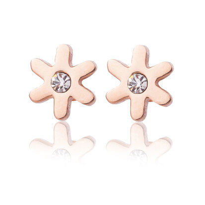 Ear Studs Stainless Steel Color Rose Gold