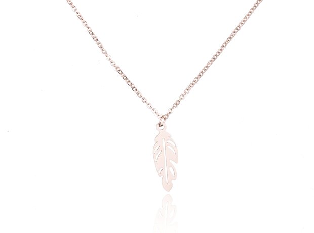 Stainless Steel Necklace With VEER / FEATHER