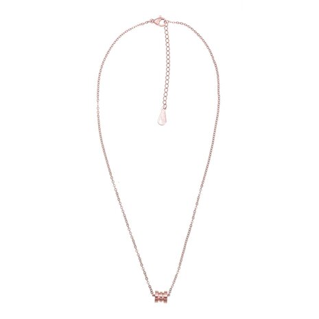 RVS Ketting met Hanger - Rosé