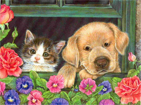 Diamond Painting  50x40cm