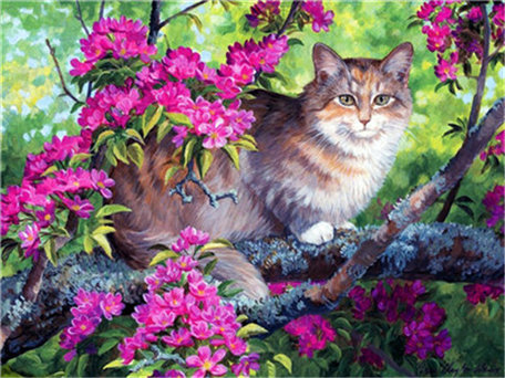 Diamond Painting  50x40cm