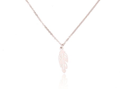 Stainless Steel Necklace With VEER / FEATHER