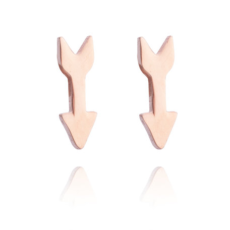 Ear Studs RVS Kleur Rosé Goud 