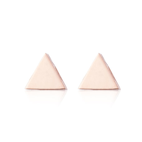 Ear Studs RVS Kleur Rosé Goud