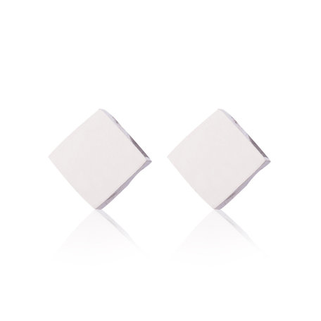 Ear Studs RVS kleur zilver