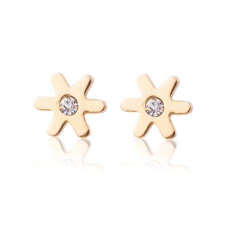 Ear Studs RVS Kleur  Goud 