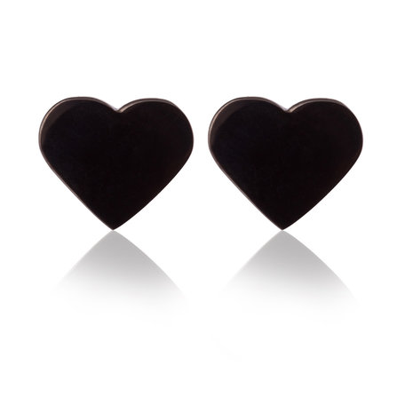 Ear Studs RVS kleur zwart