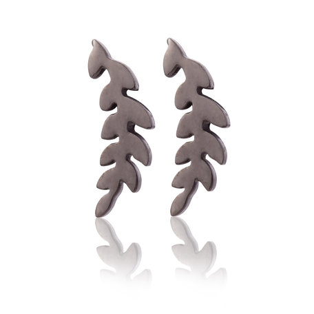 Ear Studs RVS kleur zwart