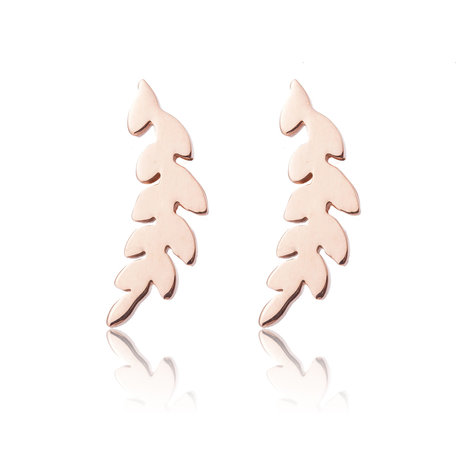 Ear Studs RVS  Kleur Rosé Goud