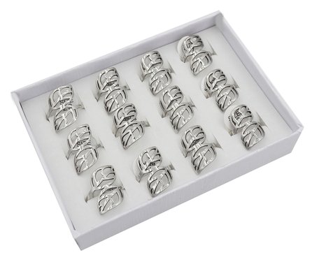12 RVS Ringen - Zilver
