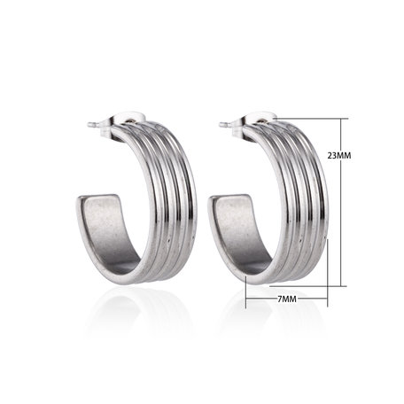 Creoles Stainless Steel Earrings