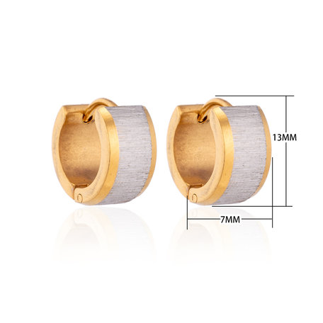 Creolen RVS Oorringen Roestvrij Staal - Zilver & Goud